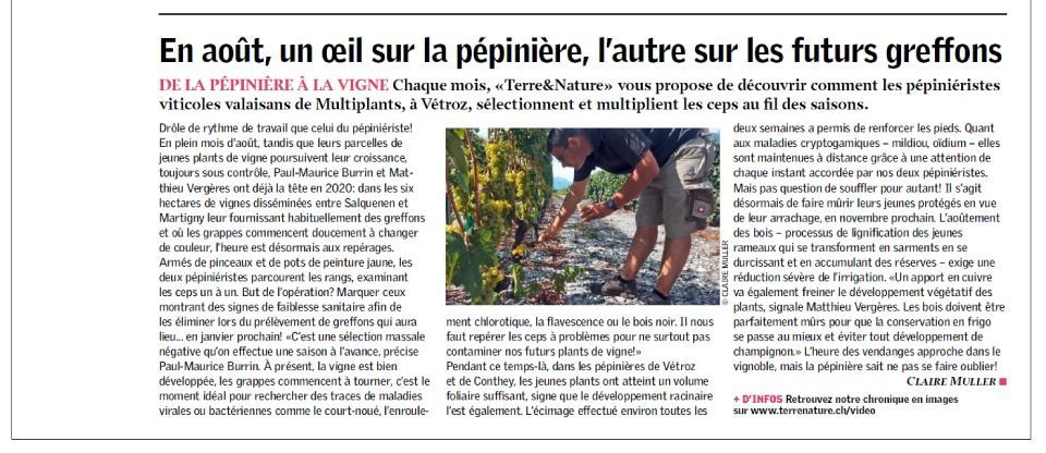 Un homme s'occupe de ses vignes. Texte en français sur la viticulture.