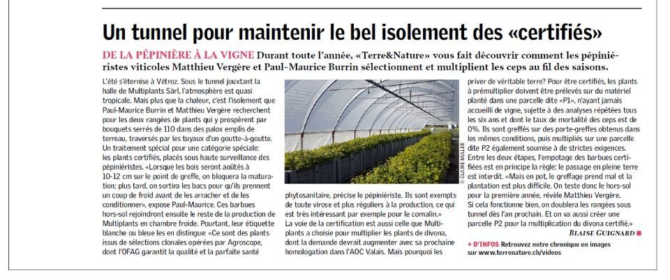 Tunnel avec des cultures en cours, probablement destiné à la recherche agricole ou à la production alimentaire.