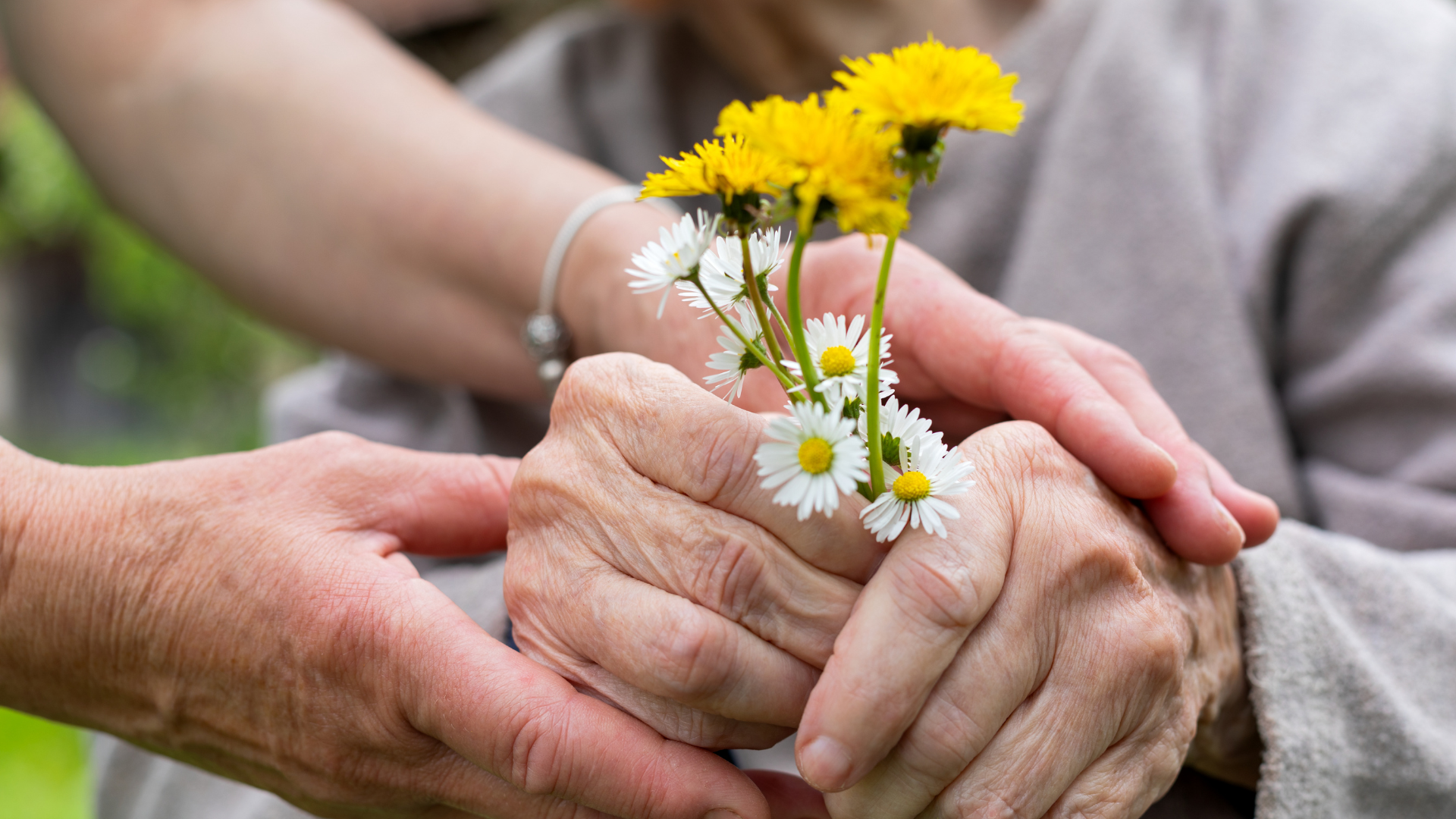 Hände, die einen kleinen Strauß gelber und weißer Blumen halten – ein Symbol für Fürsorge und Trost.