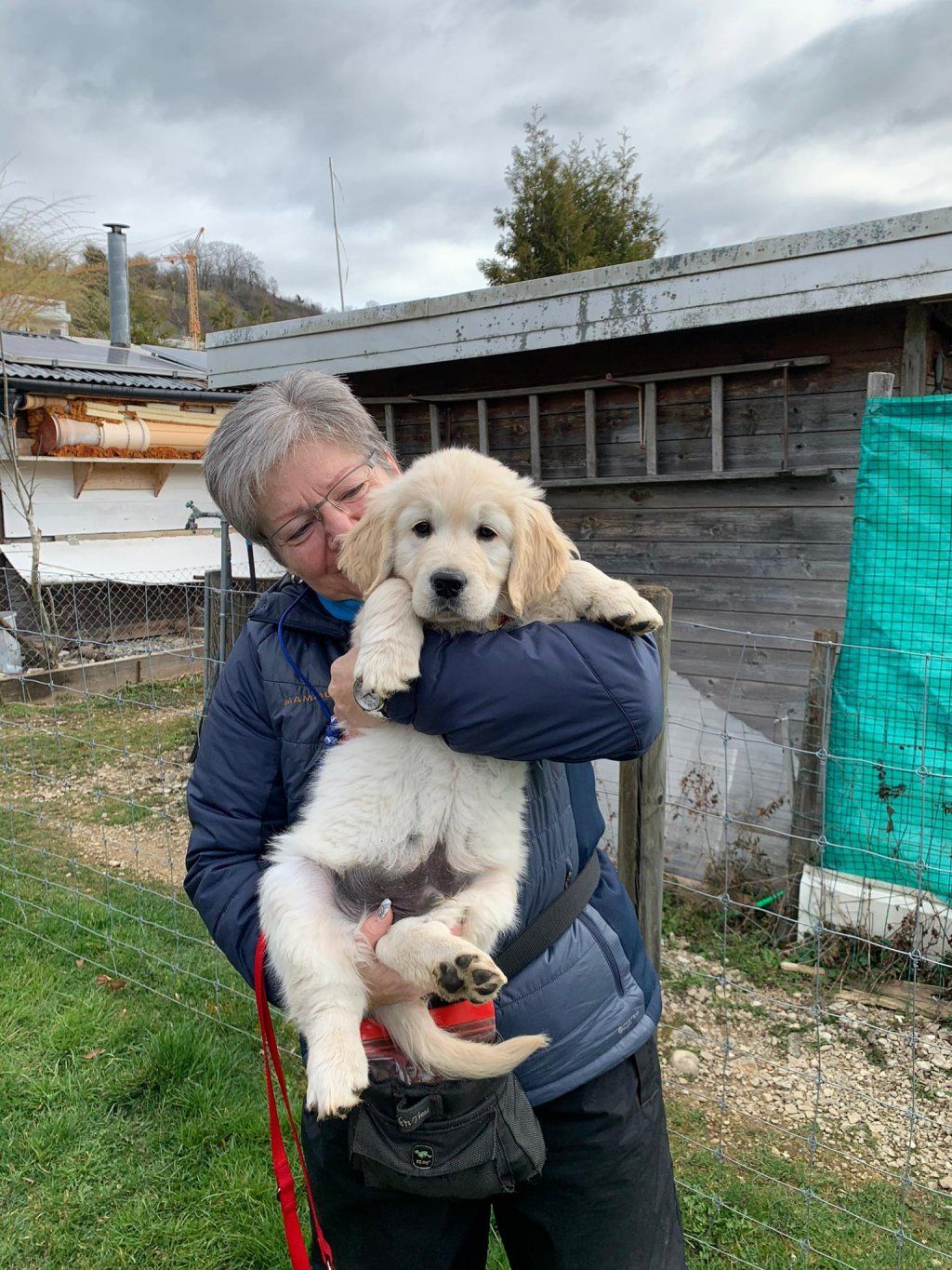 Hundeschule Nemo