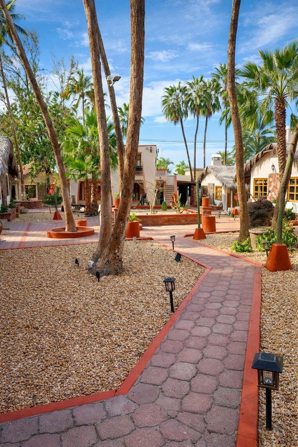 Un sendero pavimentado serpentea a trav&eacute;s de un patio de estilo des&eacute;rtico con palmeras, jardines de grava y luces solares.