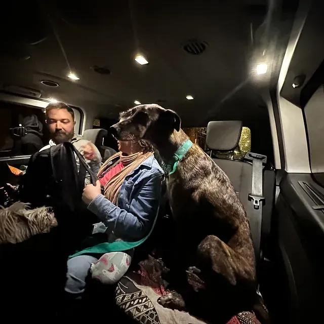 Un hombre y un perro están sentados en el asiento trasero de un coche.