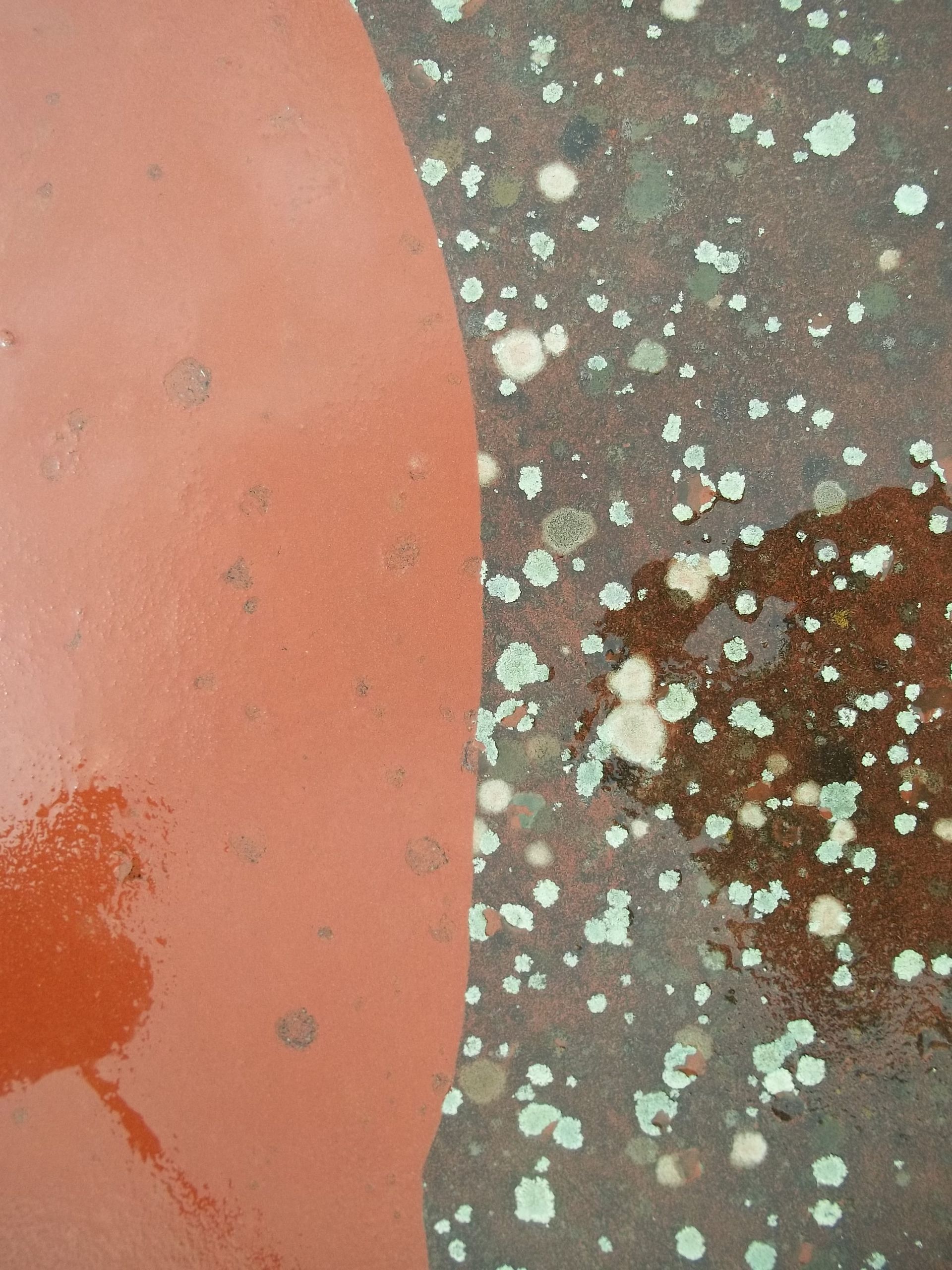 Surface peinte en rouge se courbant pour former une surface brune mouchetée de points verts.