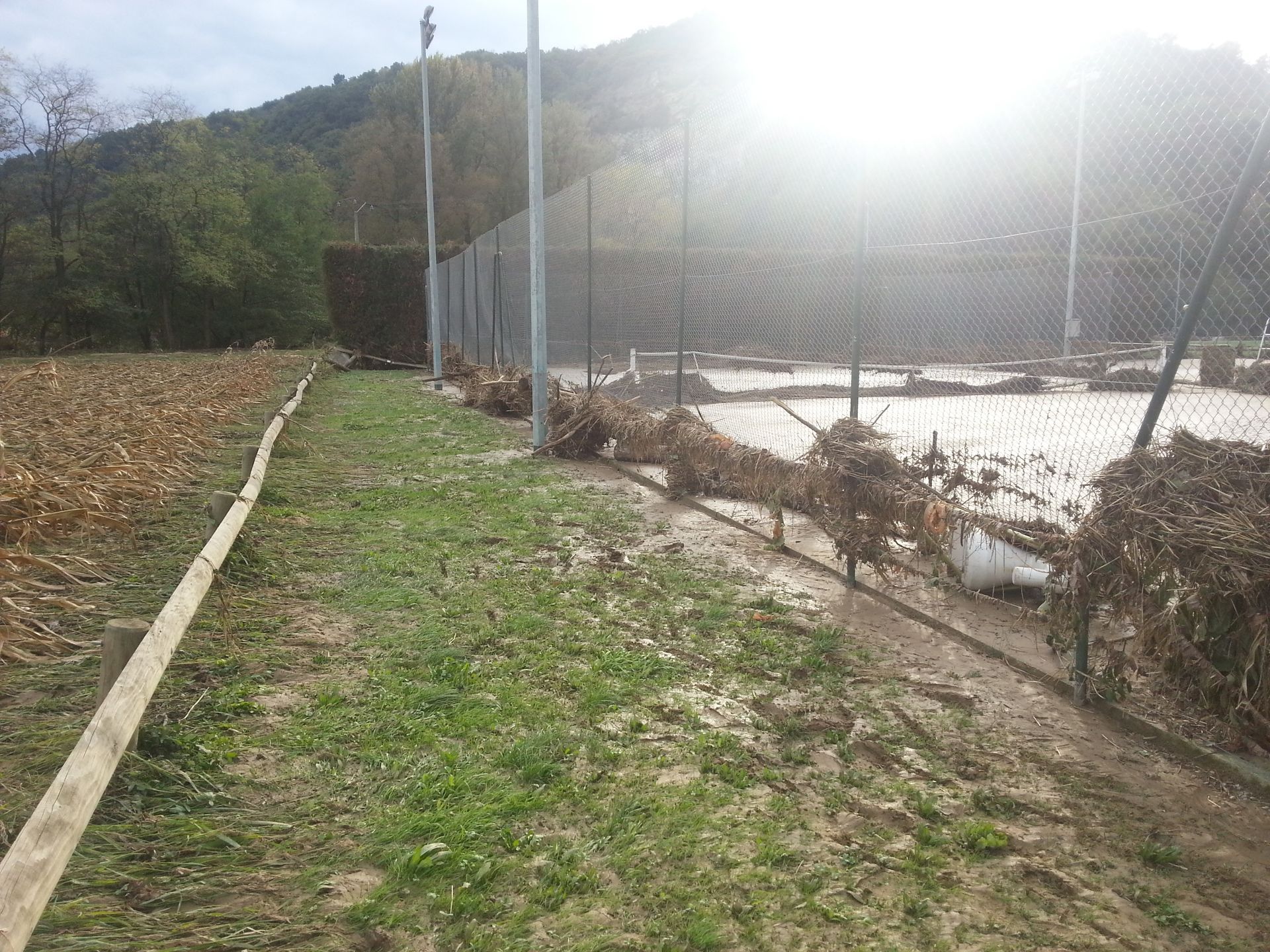 Une journée ensoleillée sur un terrain de sport, une clôture avec des plantes mortes. Un champ de cultures fanées à gauche.