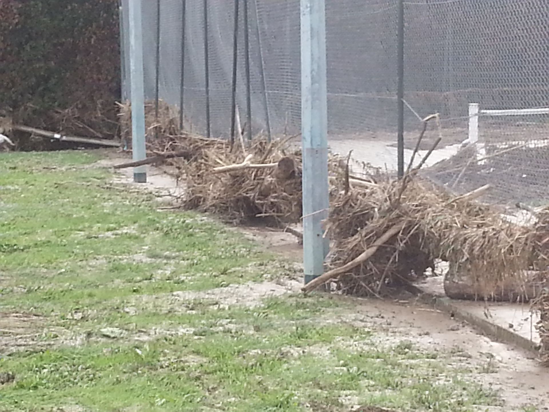 Des débris s'entassent contre une clôture sur un terrain herbeux. Des poteaux métalliques sombres et une clôture en grillage se détachent sur un fond nuageux.
