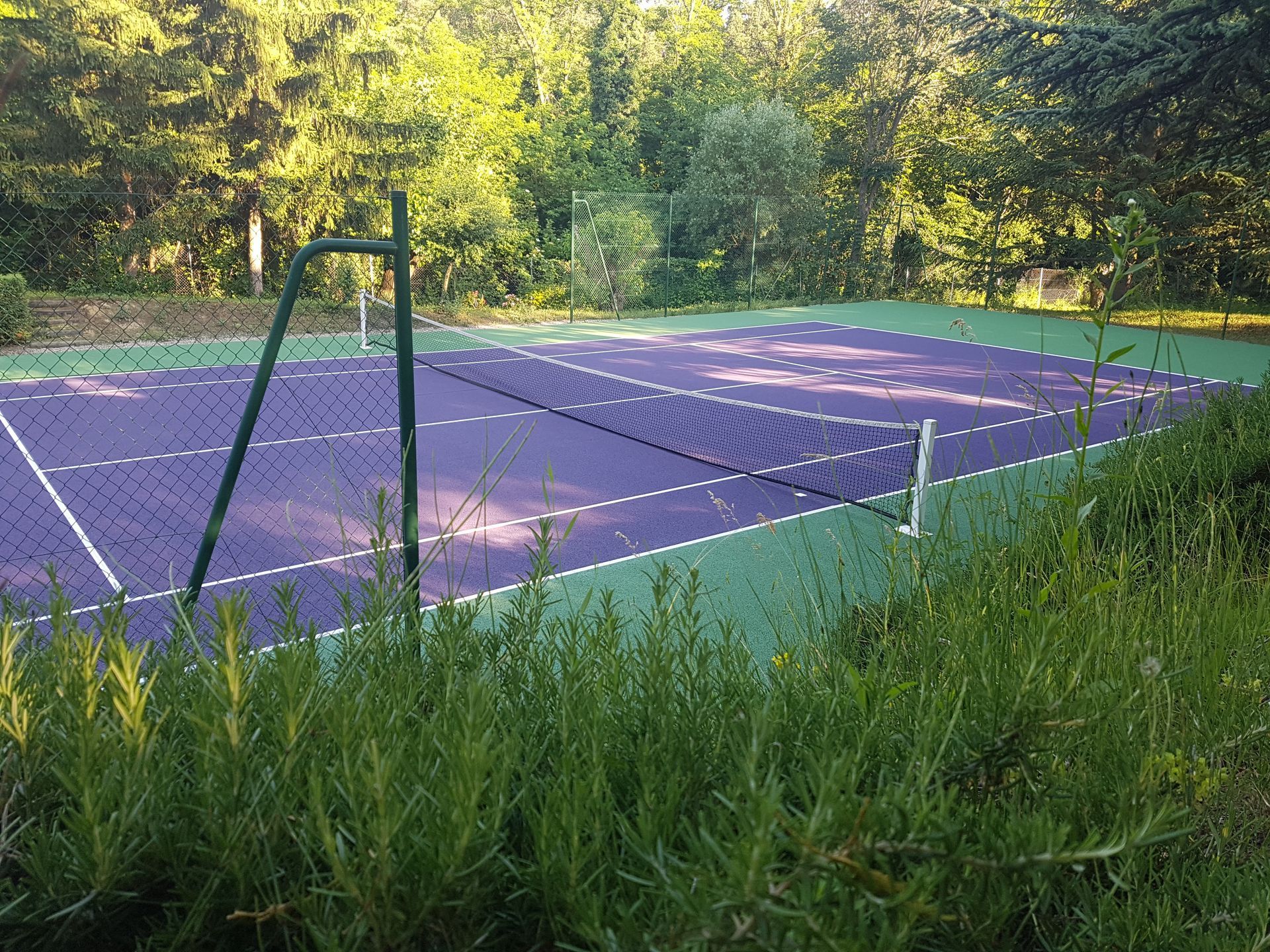 Court de tennis avec surface verte et violette, filet, entouré de feuillage et d'arbres.