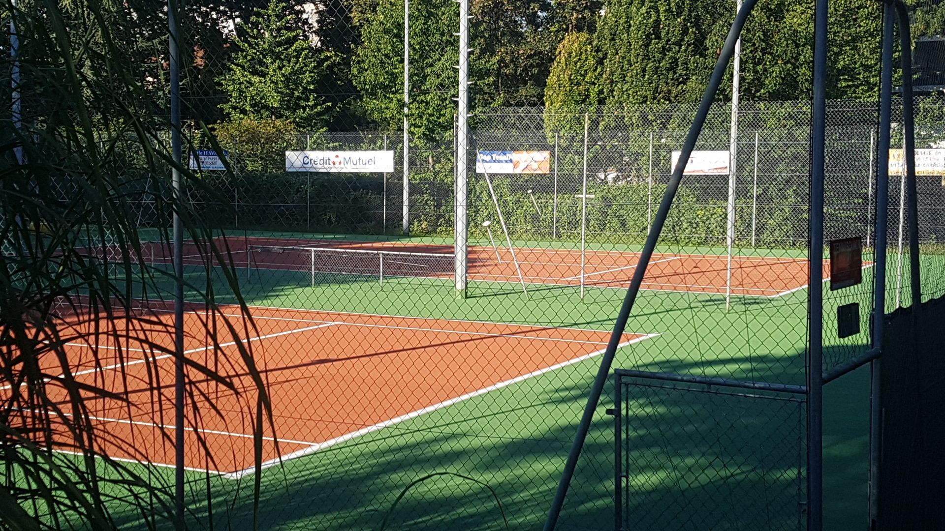 Courts de tennis en terre battue entourés de gazon vert, clos par une clôture en grillage, sous un ciel ensoleillé.