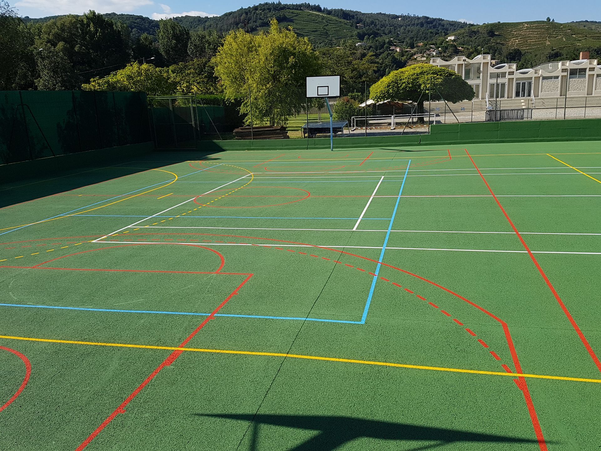 Terrain de sport vert avec plusieurs lignes de couleurs différentes, panier de basket, arbres et bâtiments en arrière-plan.
