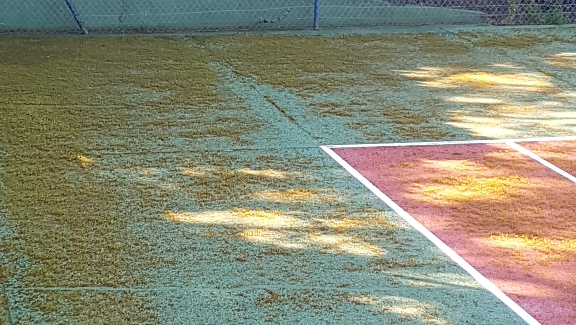 Court de tennis à la surface verte usée, coin rouge bordé de lignes blanches. Clôture en arrière-plan.