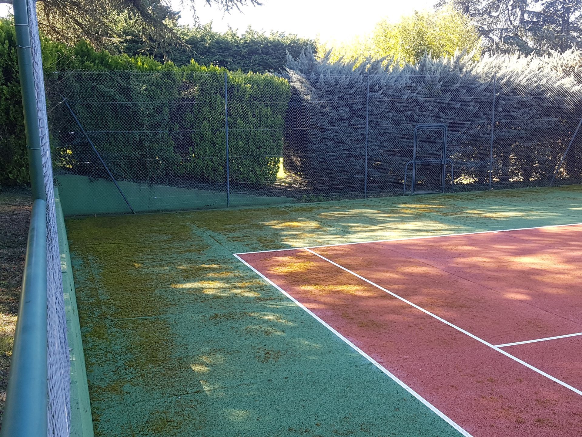 Court de tennis avec gazon artificiel vert et surface rouge, bordé d'une haie verte.