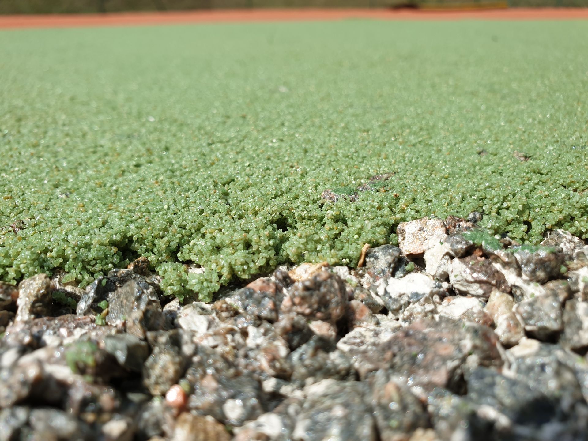 Gazon artificiel vert à côté d'un lit de petites pierres gris foncé et blanches.