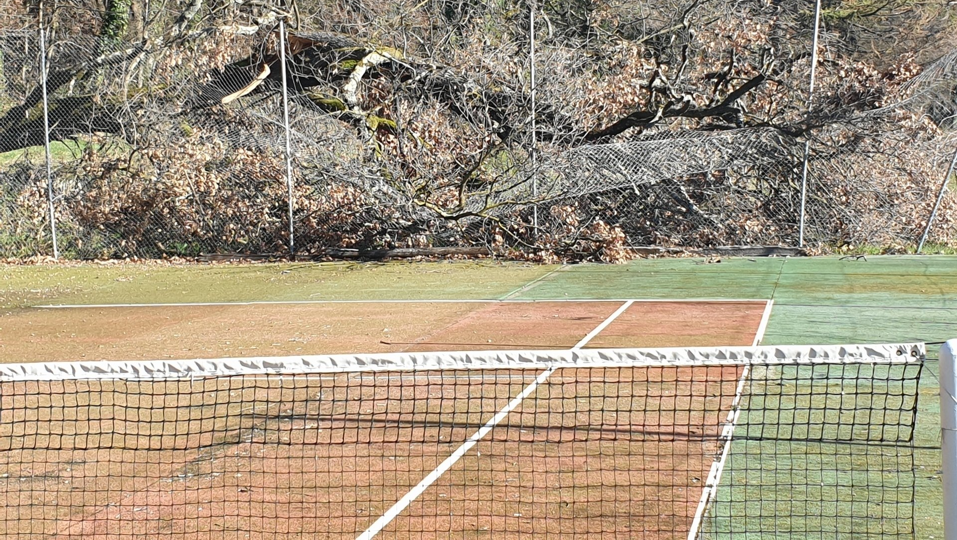 Court de tennis avec filet et surface marron, avec feuillage vert et marron en arrière-plan.