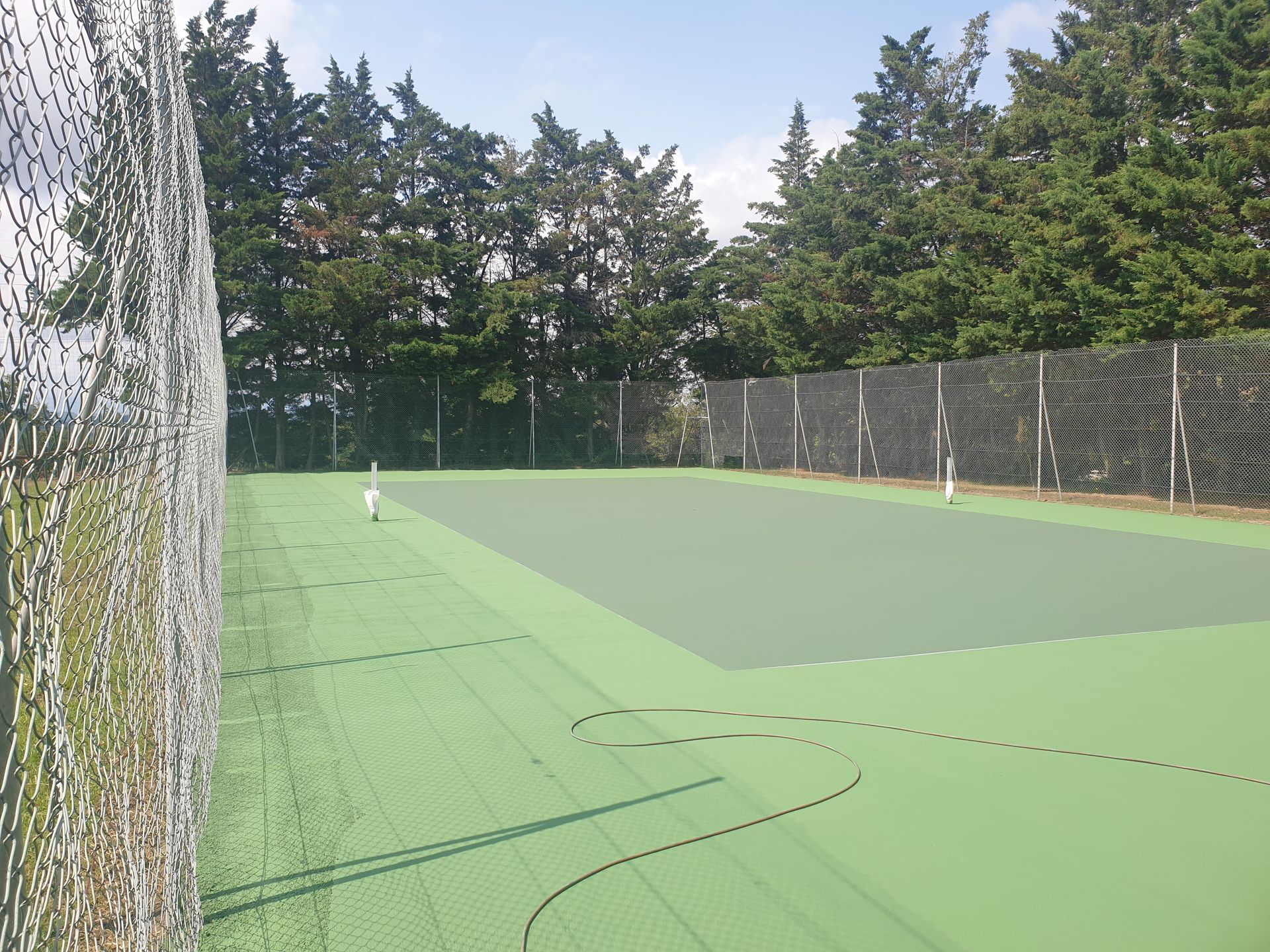Court de tennis avec surface verte, filet et arbres en arrière-plan sous un ciel bleu.