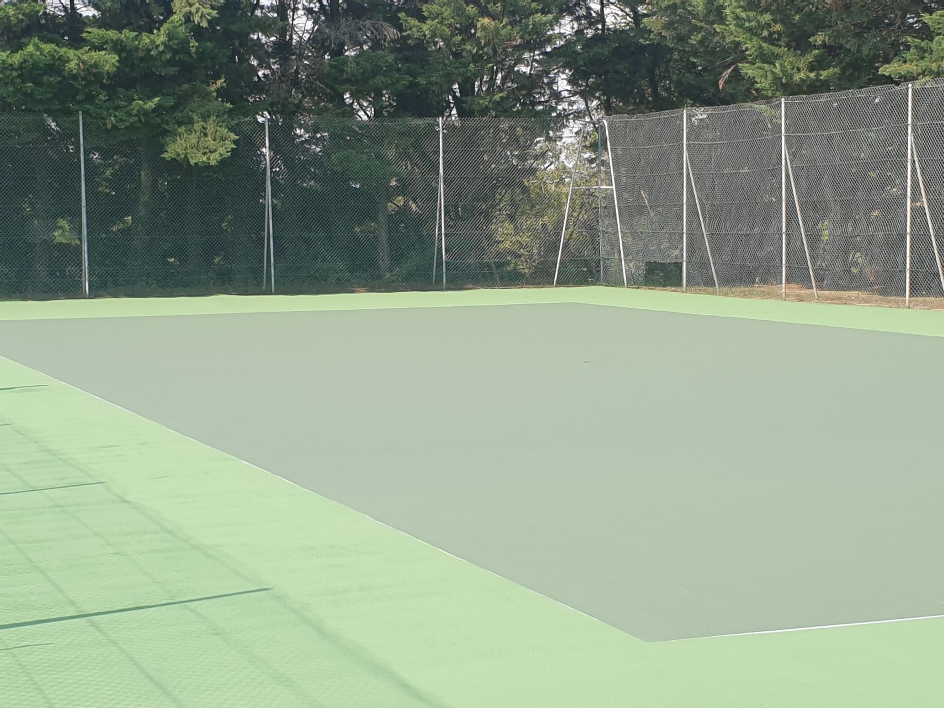 Court de tennis vert vide, avec filet et arbres en arrière-plan.