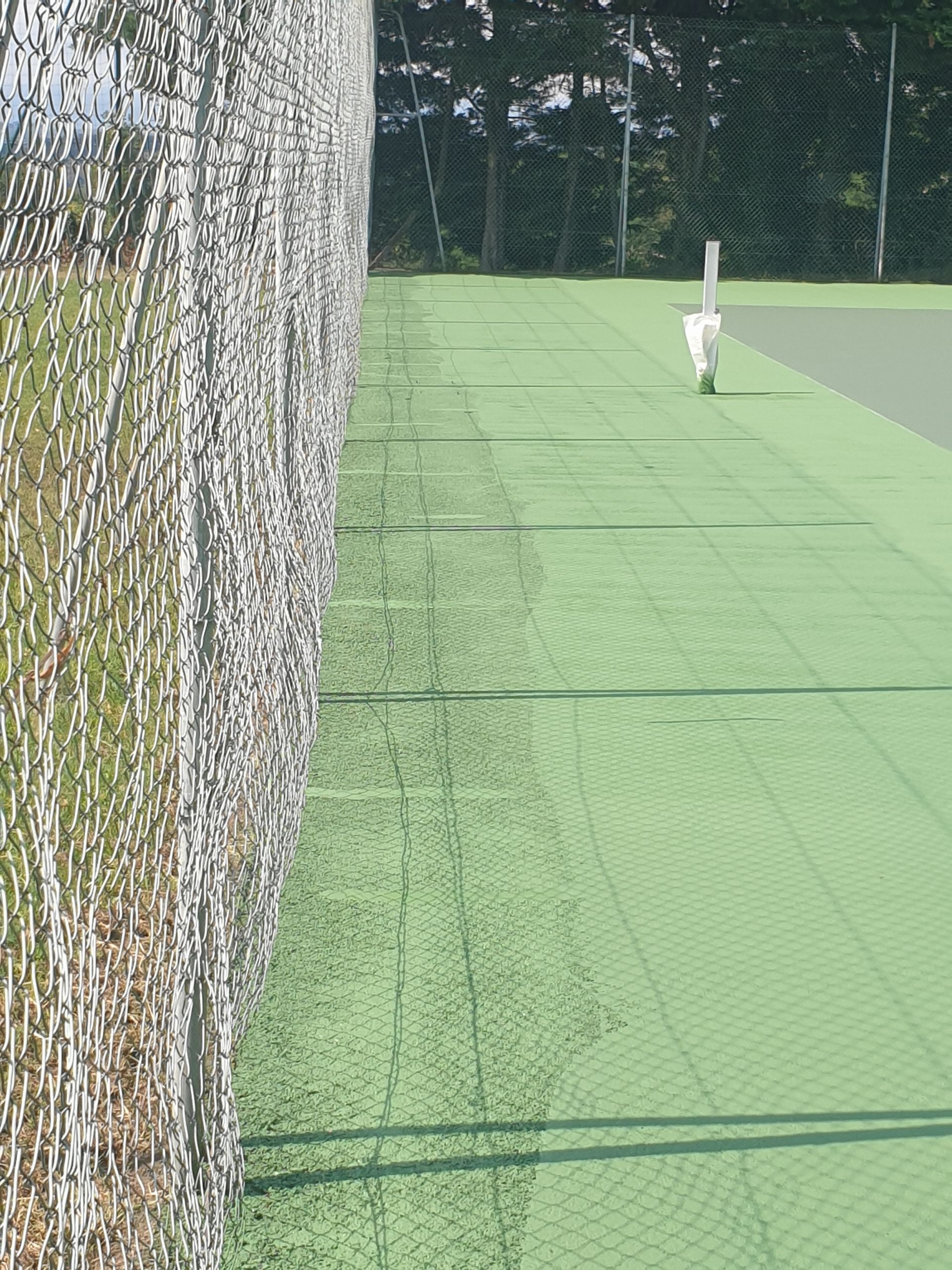 Court de tennis avec surface verte, filet blanc et haute clôture. Lumière du soleil et ombres.