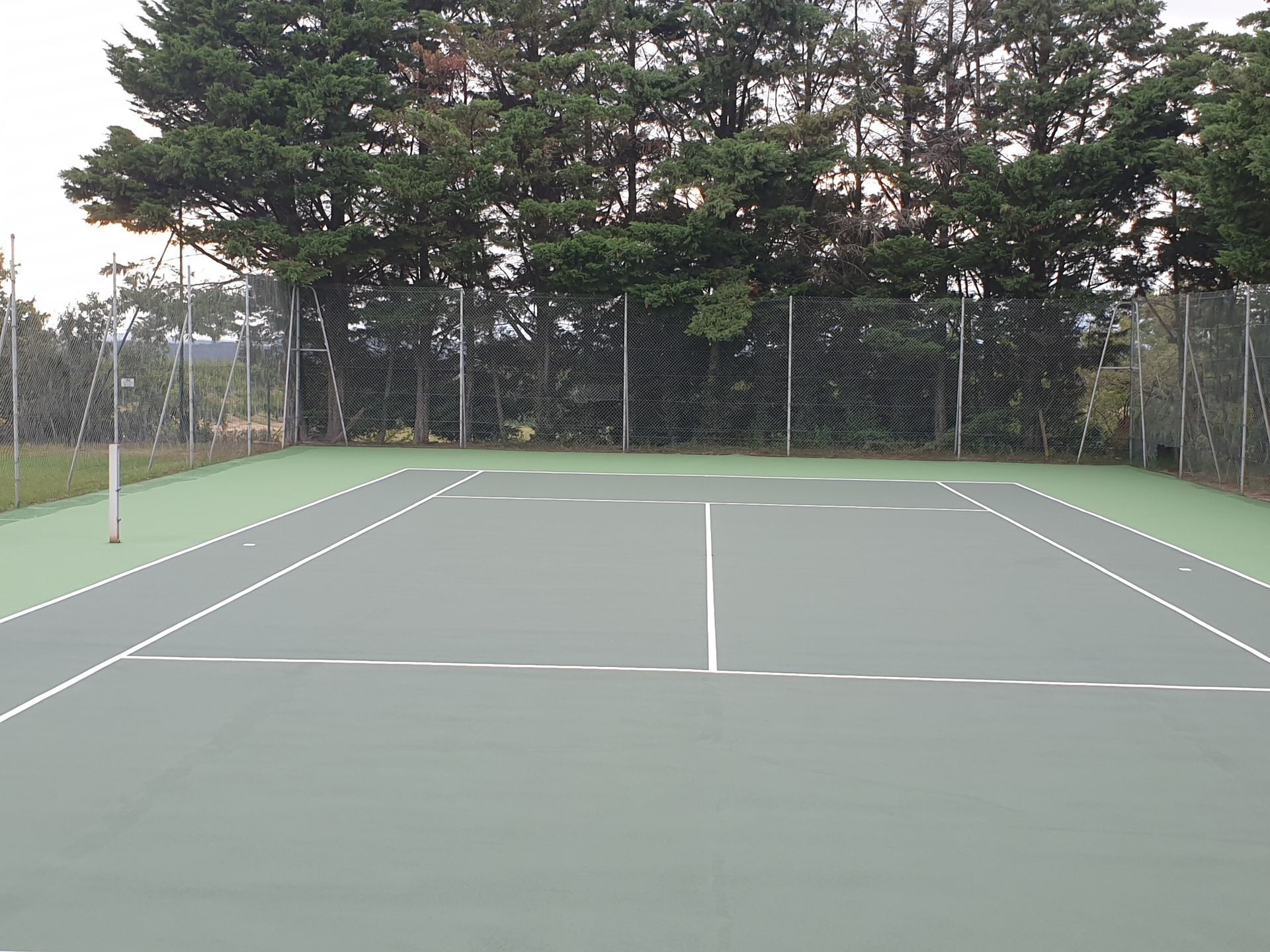 Court de tennis avec surface verte, lignes blanches et clôture en grillage en arrière-plan.