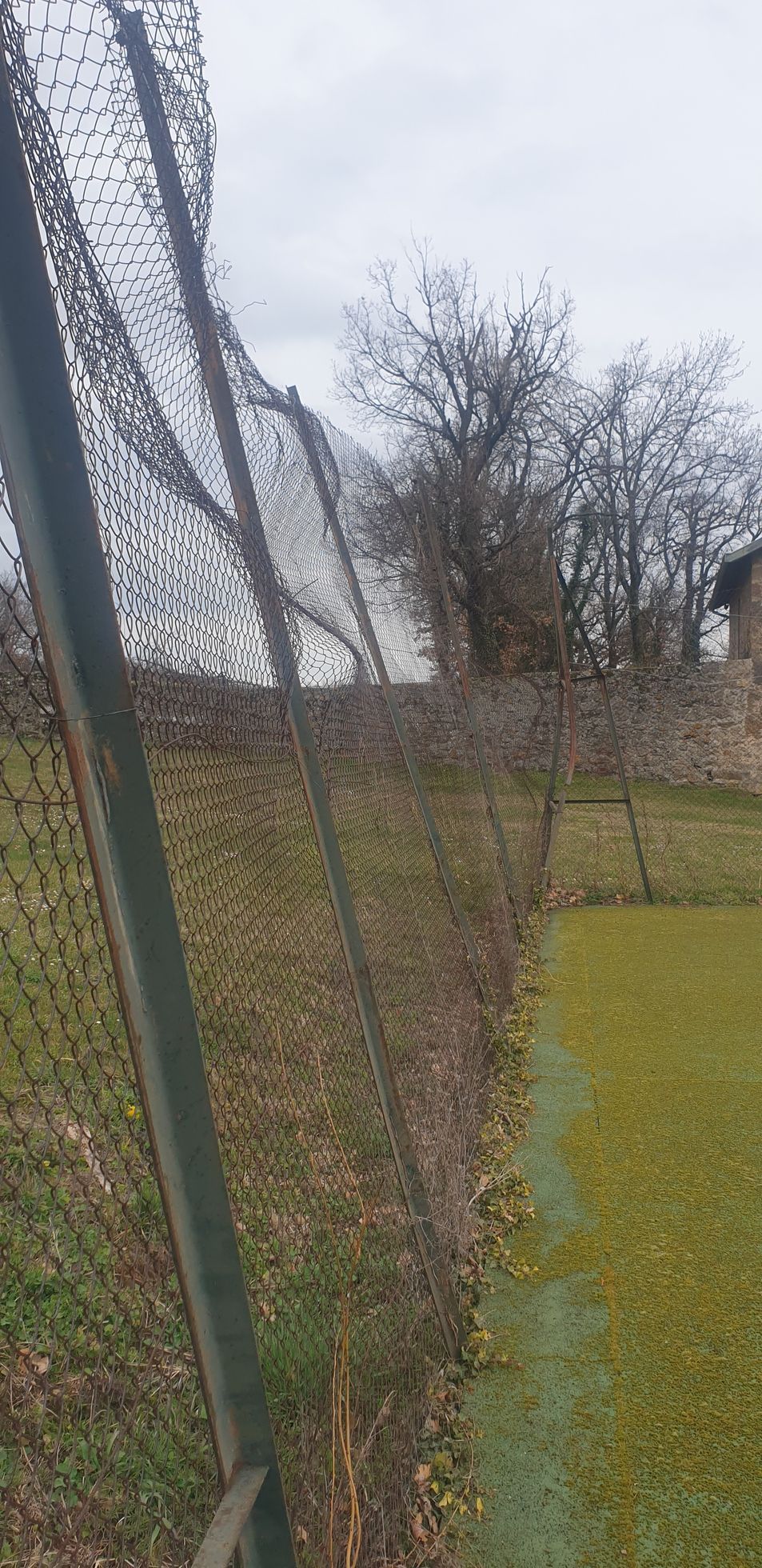 Par temps nuageux, une clôture en grillage longe l'herbe et les arbres.