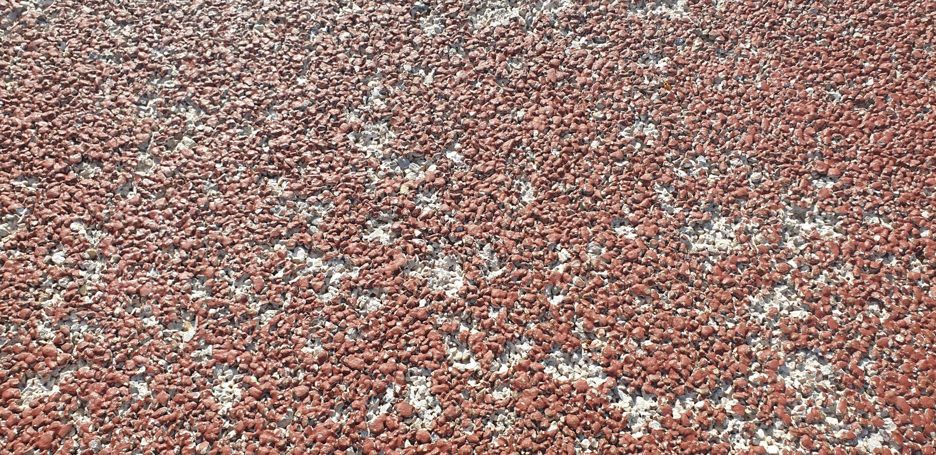 De petites graines brun rougeâtre, réparties sur une surface claire, séchant peut-être au soleil.