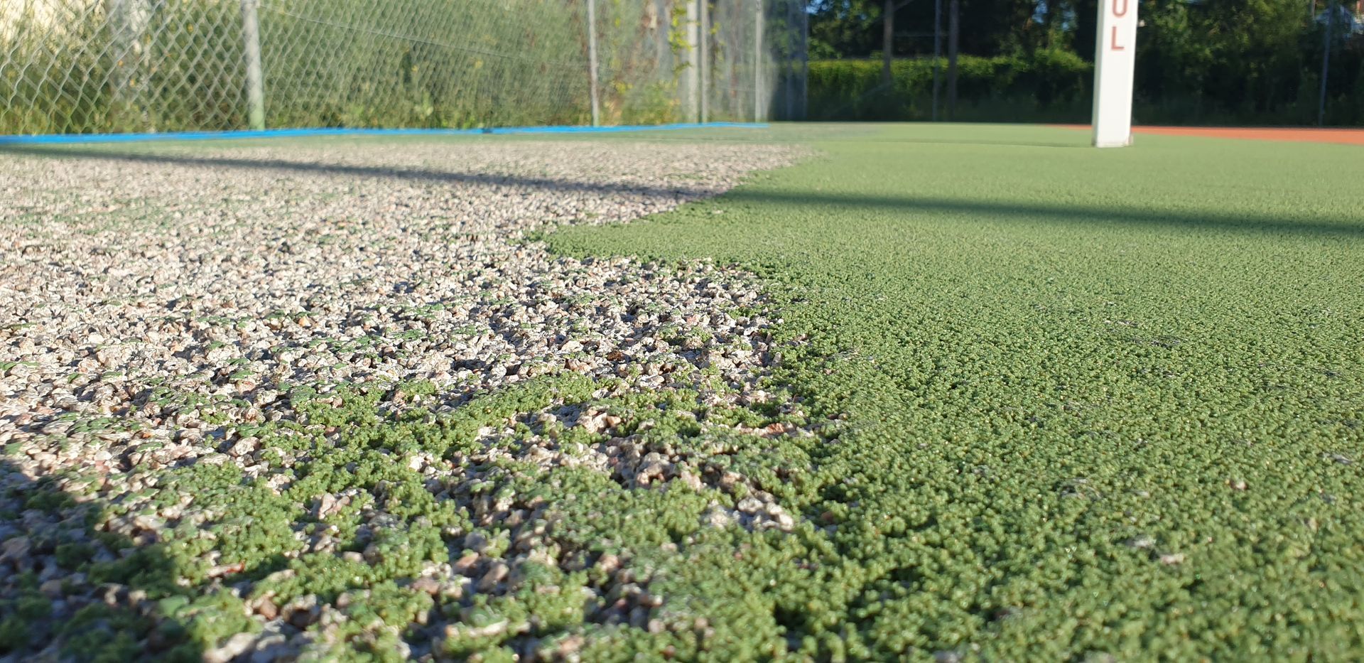 Gros plan sur un court de tennis montrant deux textures différentes : du gravier et du gazon synthétique vert.