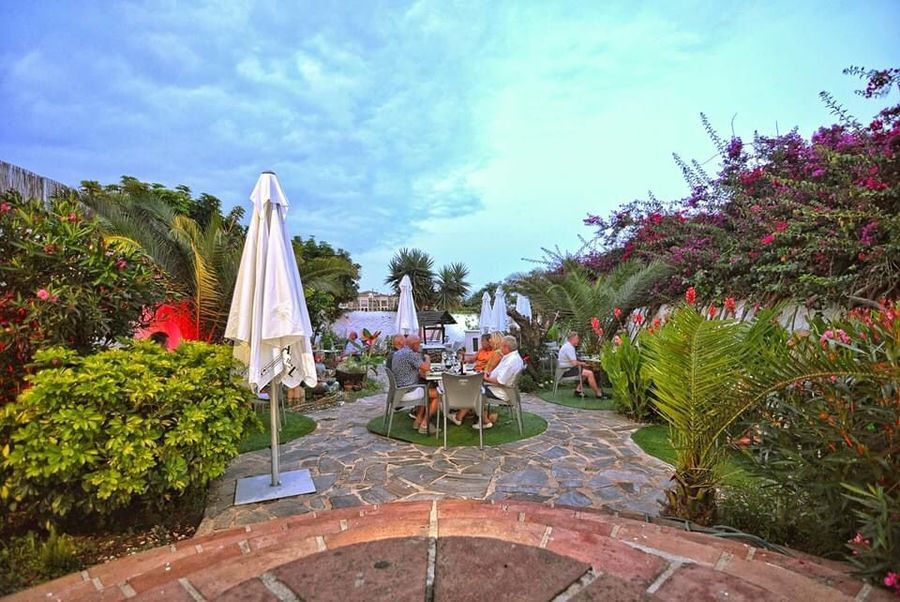 Patio exterior con sendero de piedra, sombrillas blancas y exuberantes plantas tropicales al atardecer.