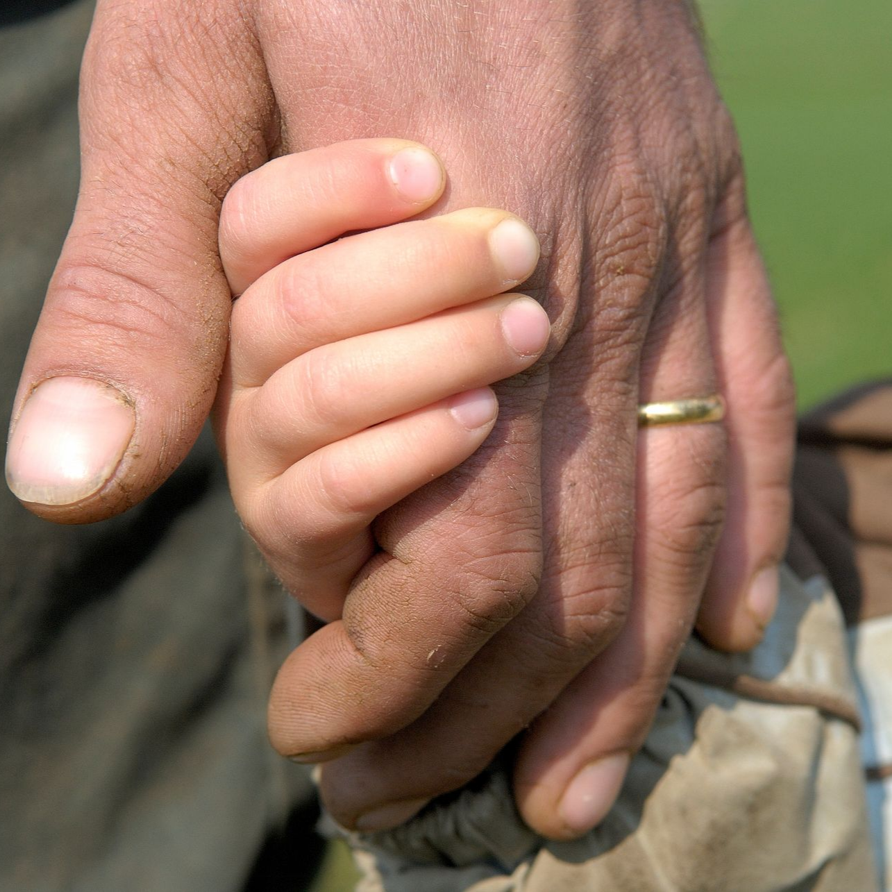 Main d'un adulte tenant la main d'un petit enfant ; bague au doigt de l'adulte.