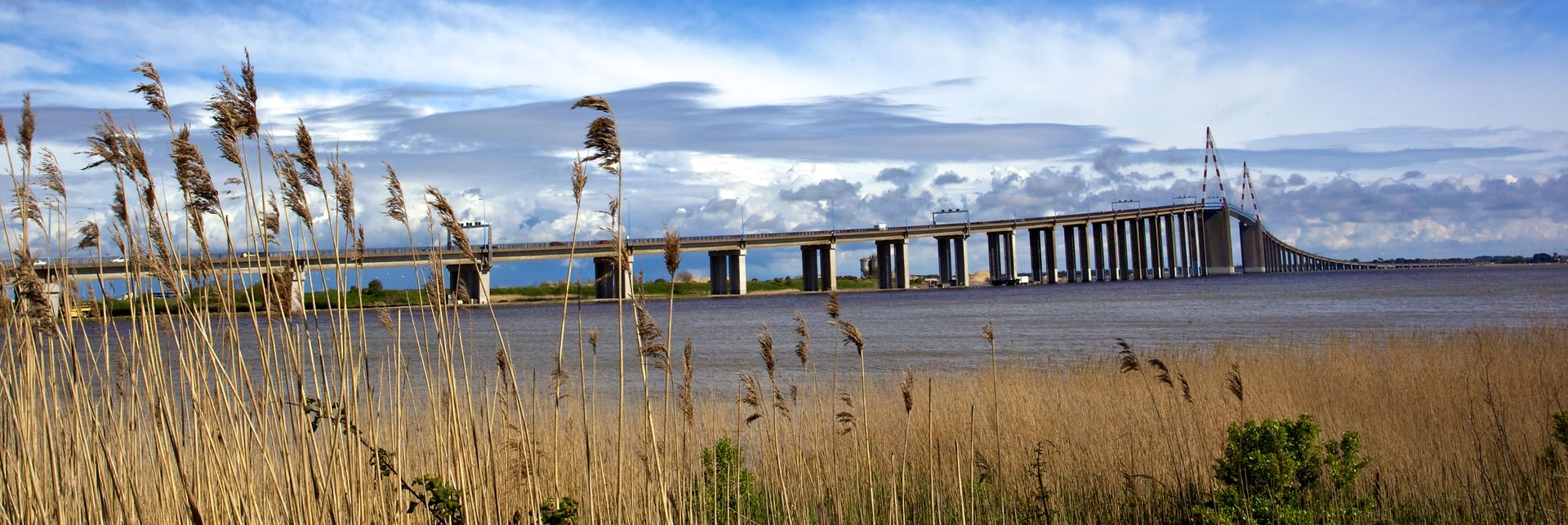 Un pont enjambant une étendue d'eau, avec des roseaux au premier plan et un ciel nuageux en arrière-plan.