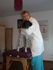 Le Jardin du Simurgh - Nussbaumer Viviane