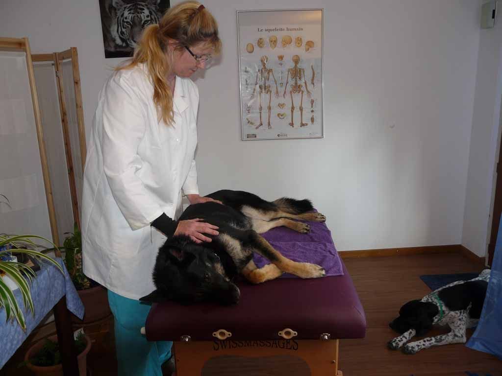 Le Jardin du Simurgh - Reiki - Saint-Légier