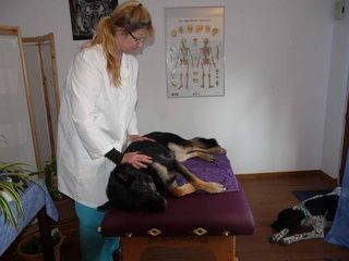 Le Jardin du Simurgh - Nussbaumer Viviane