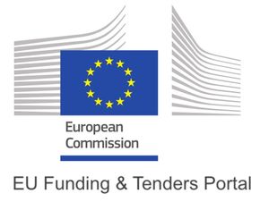 Logo of the European Commission EU Funding & Tenders Portal Supplier