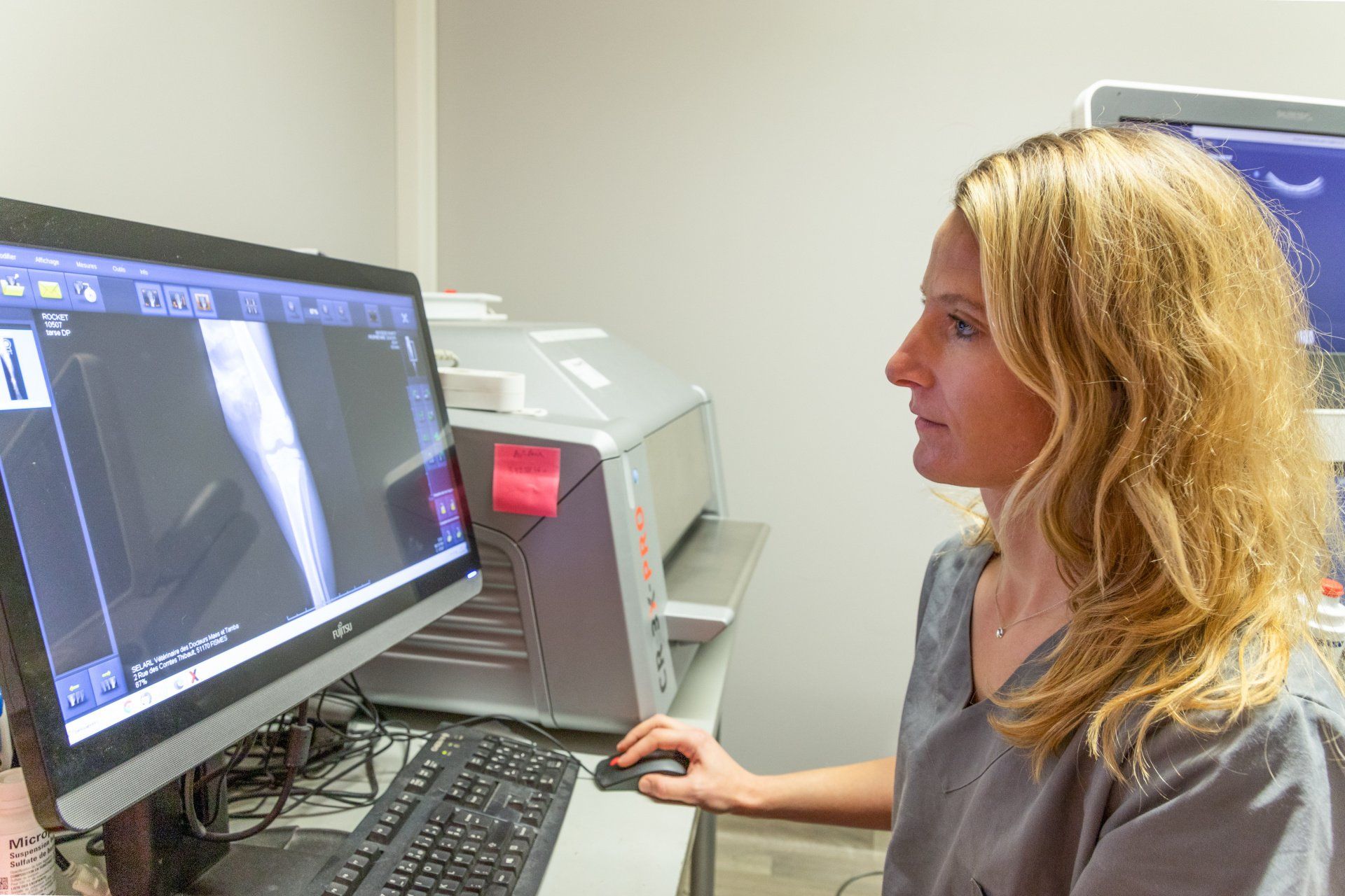 Vétérinaire qui regarde une radiographie