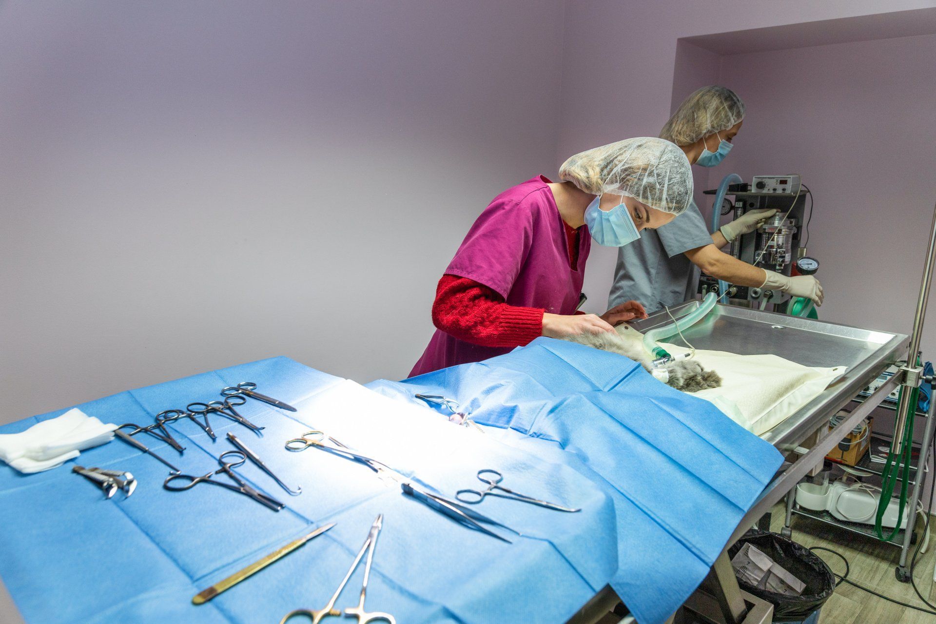 Vétérinaire devant une table d'opération