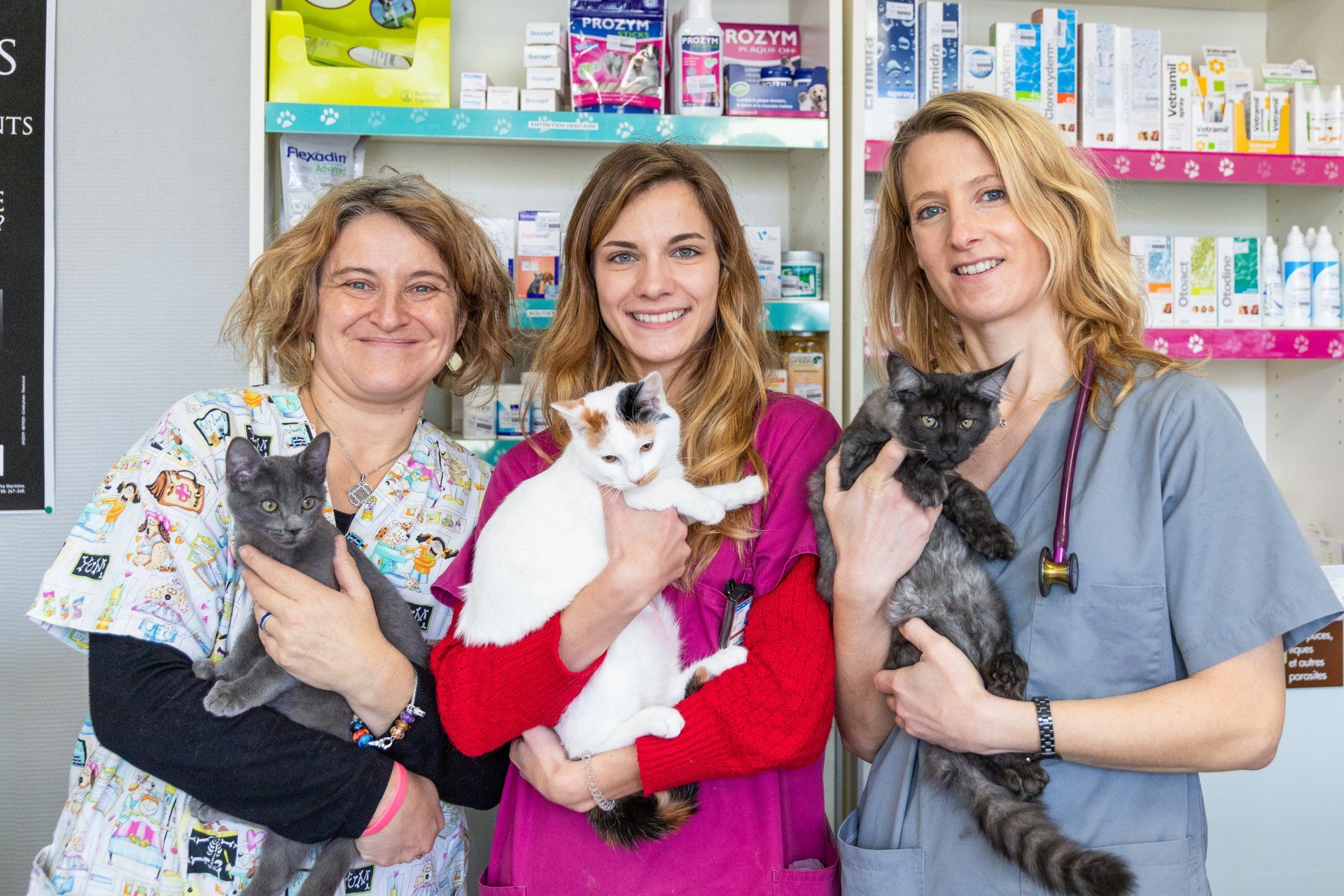 Équipe de la clinique vétérinaire avec des chats dans les bras