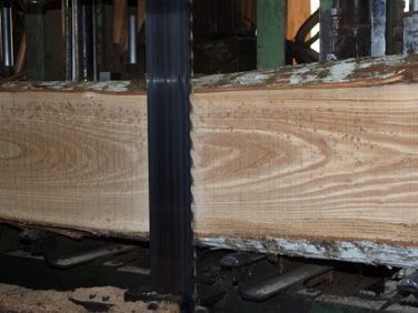 Un tronco de gran tamaño, sujeto por una estructura metálica negra, permite apreciar la veta de la madera en un taller o aserradero.