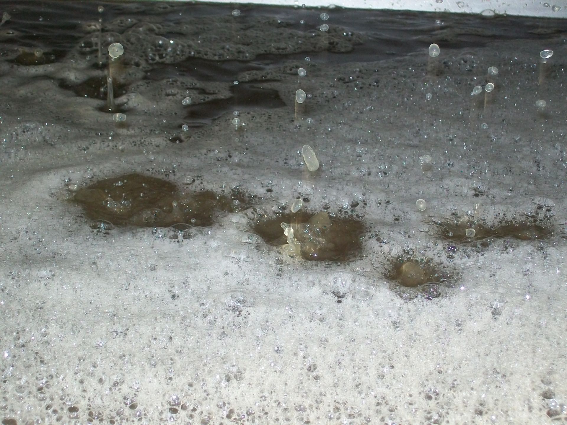 Weinproduktion auf dem Weingut Walter Hackenbruch in Mehring.
