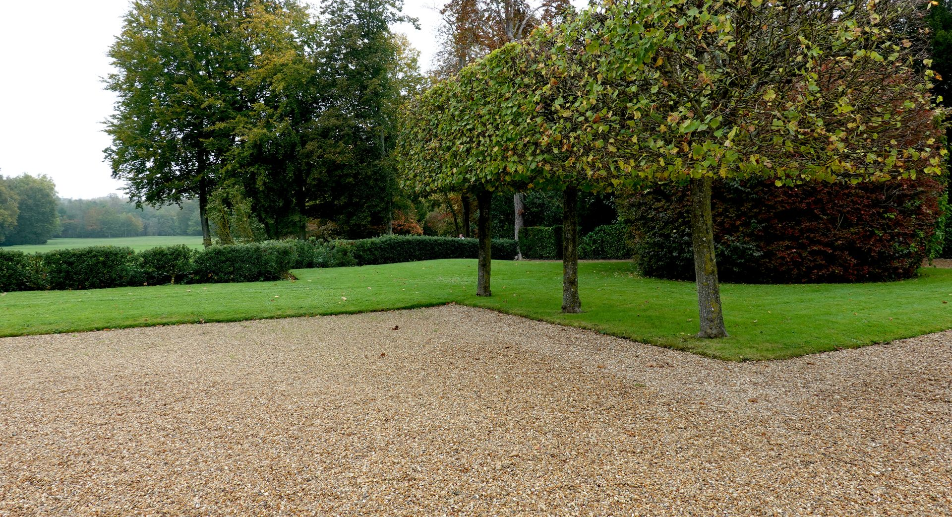 Une allée de gravier mène à une pelouse verdoyante bordée d'une haie taillée au carré et de plusieurs arbres taillés en carré.