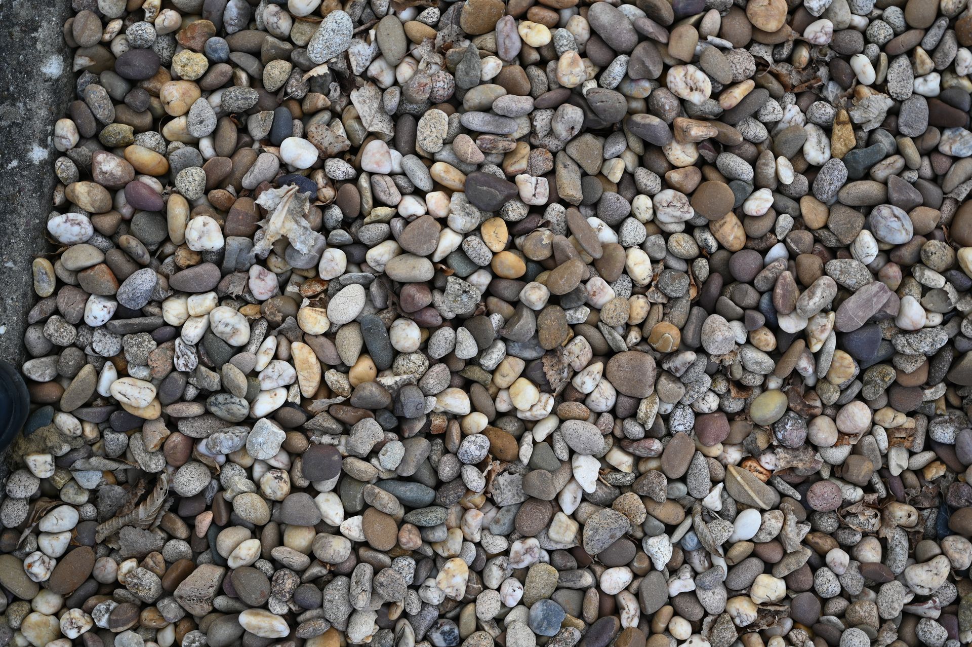 Un amas dense de petits galets arrondis, aux nuances variées.