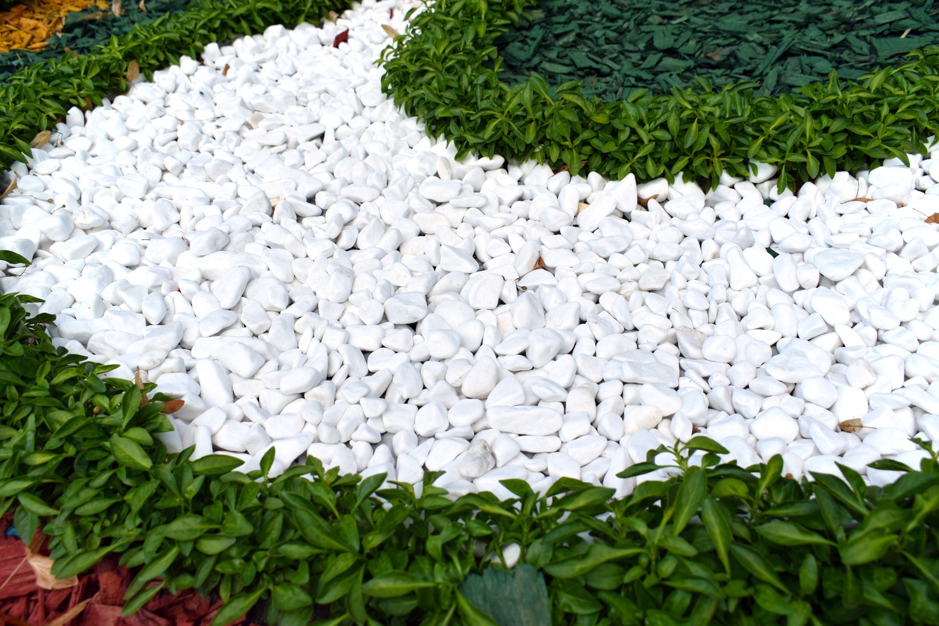 Un parterre incurvé de pierres décoratives blanches, bordé de plantes de jardin.