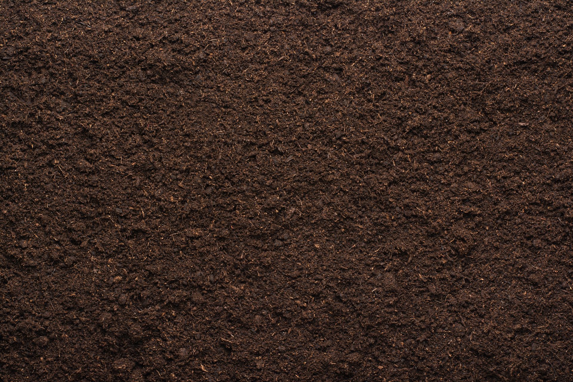 Vue de dessus d'un sol brun foncé, granuleux, à la texture grossière et terreuse.