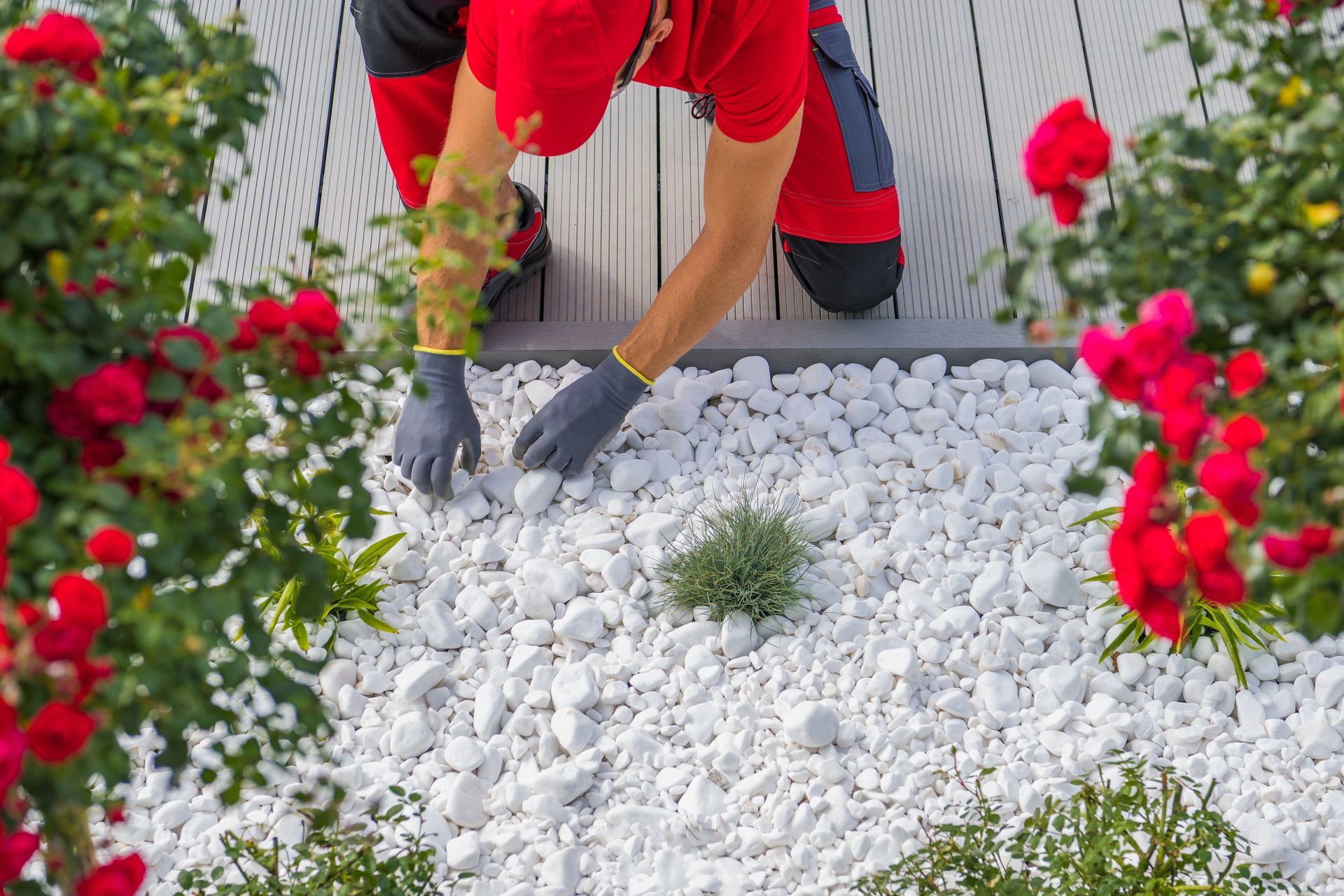 Une personne en uniforme, agenouillée sur une terrasse, dépose des pierres décoratives dans un parterre de jardin bordé de rosiers.