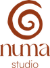 Studio Numa Logo