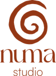 Studio Numa- logo