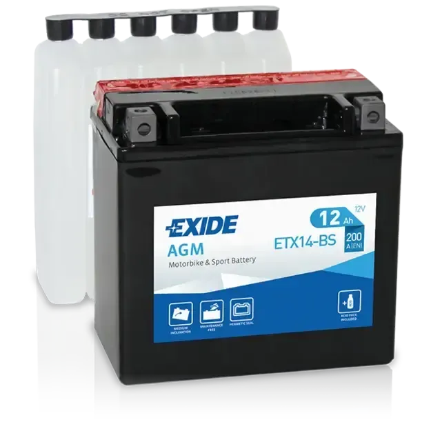 Fernando Duarte Gonçalves - Baterias 