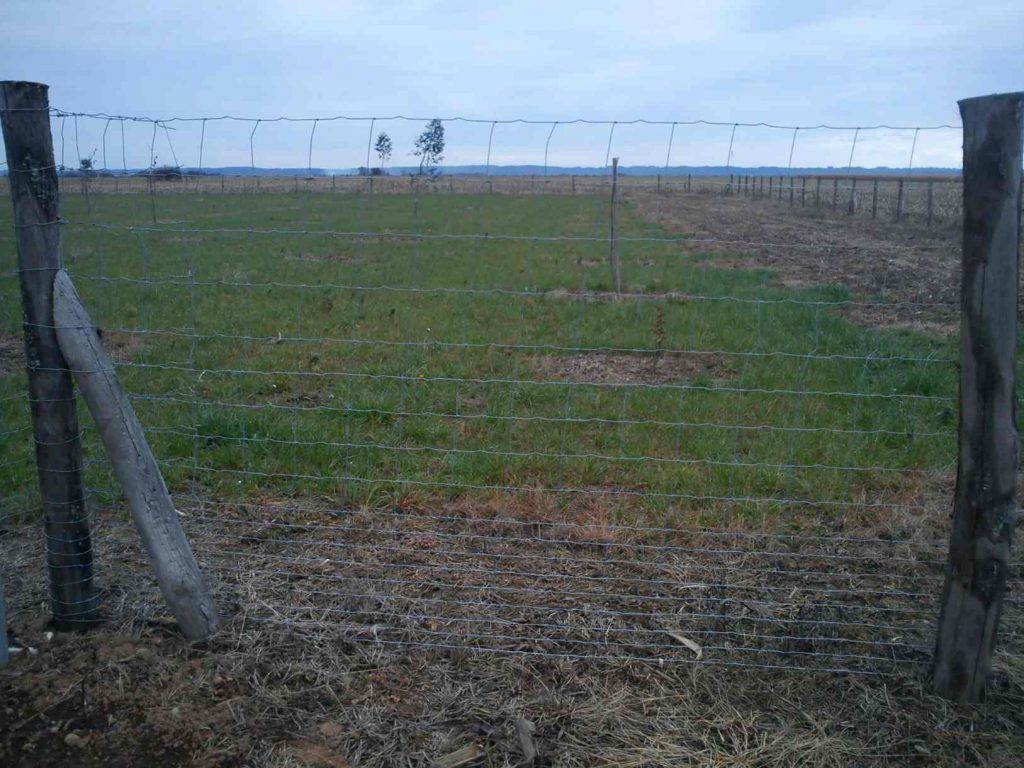 Clôture en fil de fer barbelé avec des poteaux en bois dans un champ d'herbe sous un ciel nuageux.