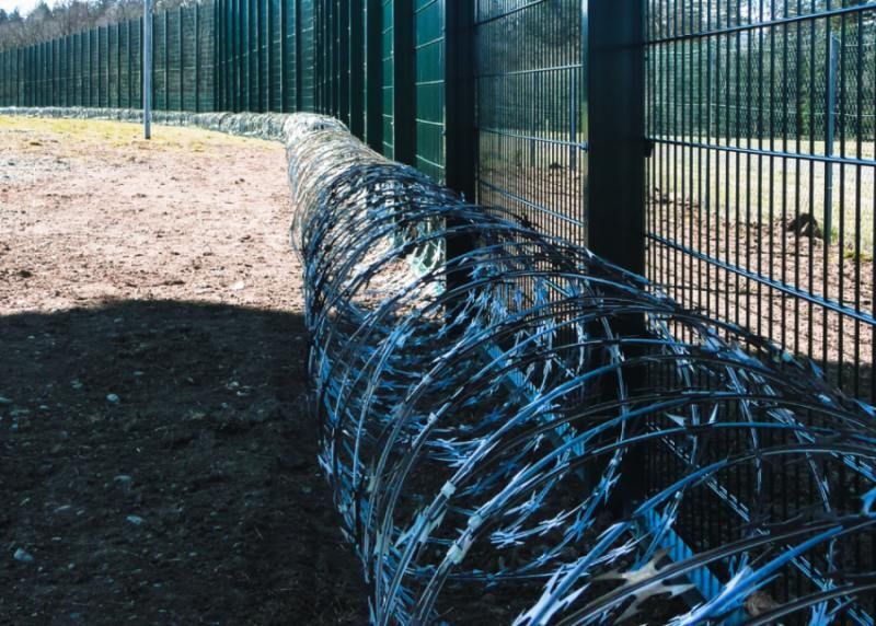 Du fil barbelé enroulé le long d'une clôture verte et grise, à l'extérieur.