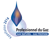 Logo pour Professionnel du Gaz, présentant une forme de flamme bleue sur un design circulaire, avec le texte GAZ NATUREL - GAZ PROPANE.