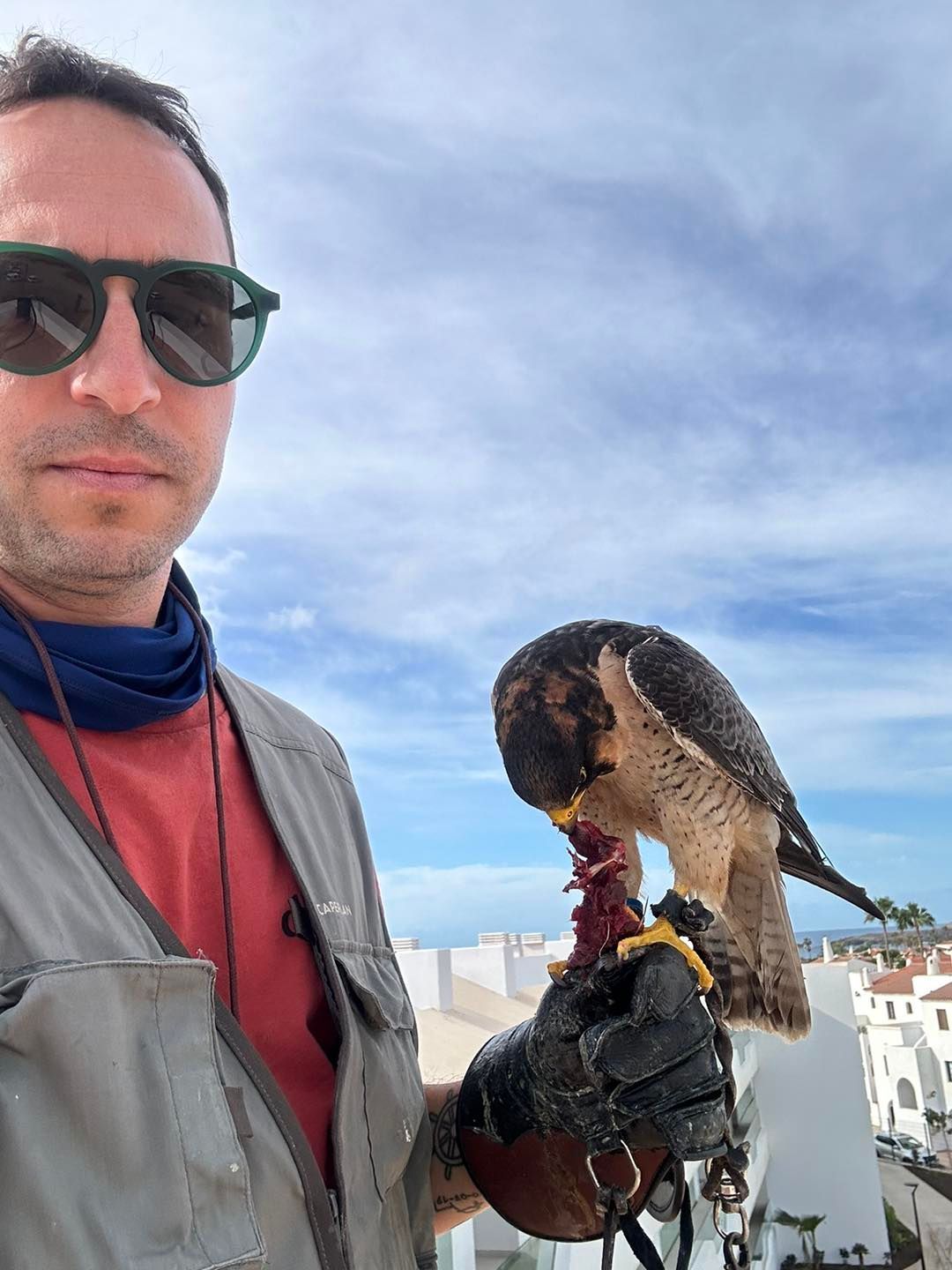 Un hombre con gafas de sol sostiene un halcón, ambos al aire libre bajo un cielo nublado. El halcón come.