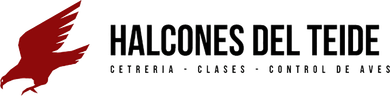 logotipo footer