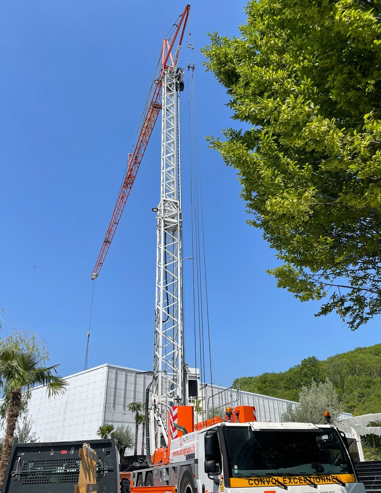 Longue grue blanche et rouge
