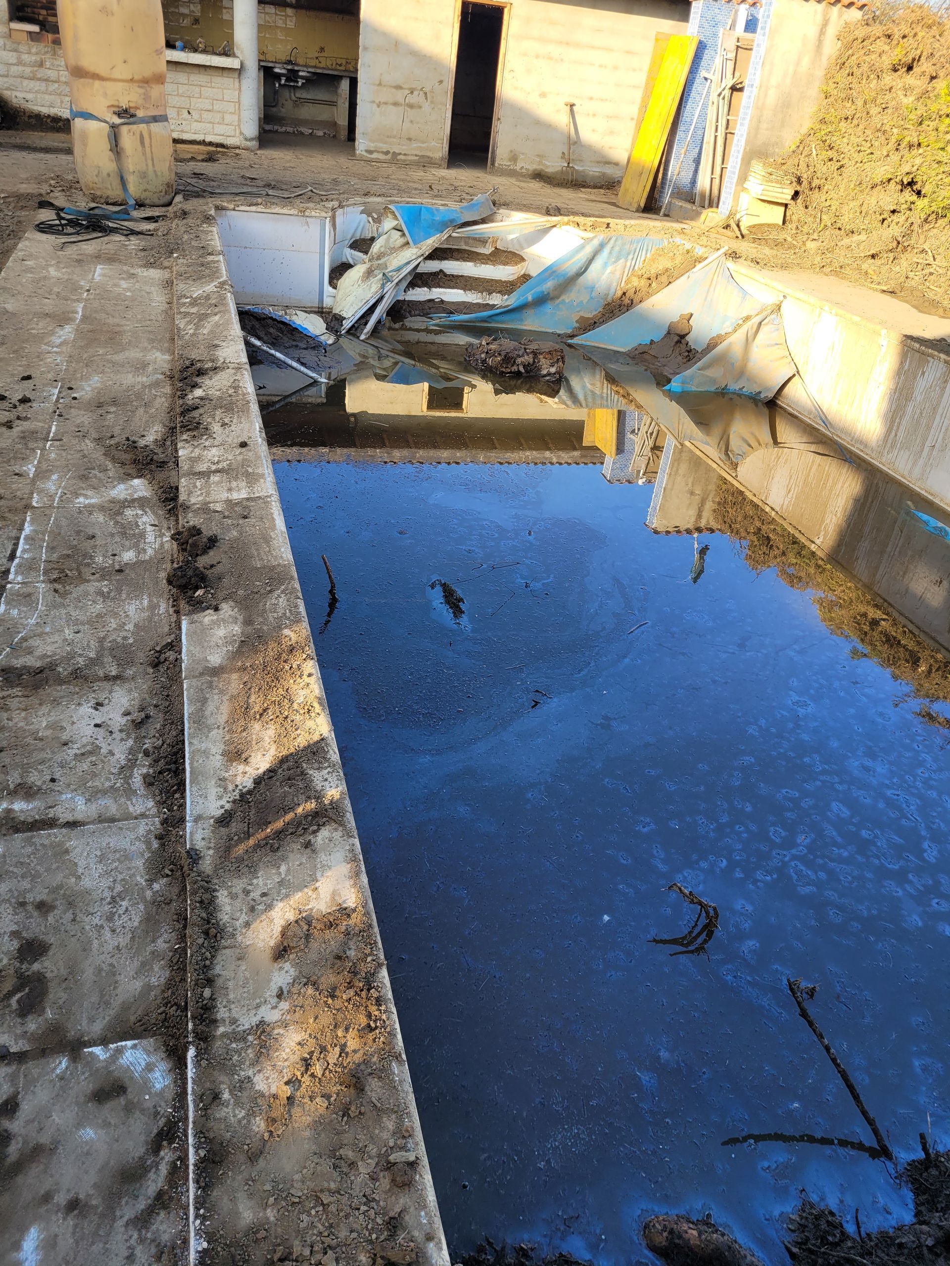 Dépollution du sol